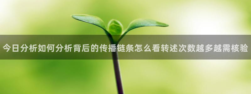 吃瓜入口