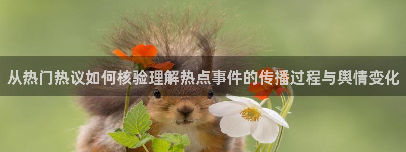 吃瓜视频网站：从热门热议如何核验理解热点事件的传播过程与舆情变化