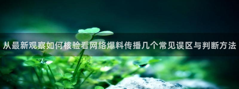 每日吃瓜